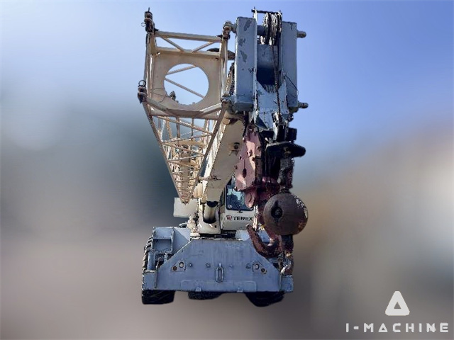 TEREX RT665